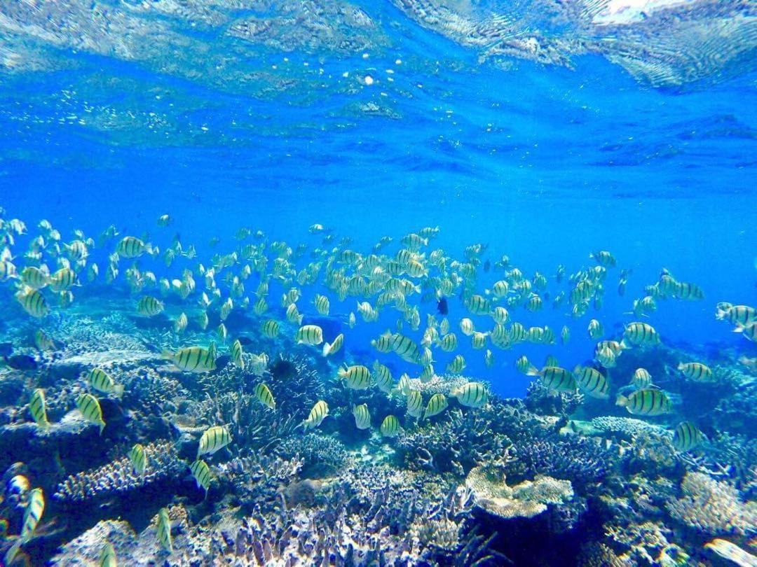 Korovou Eco Lodge Naviti Island Luaran gambar